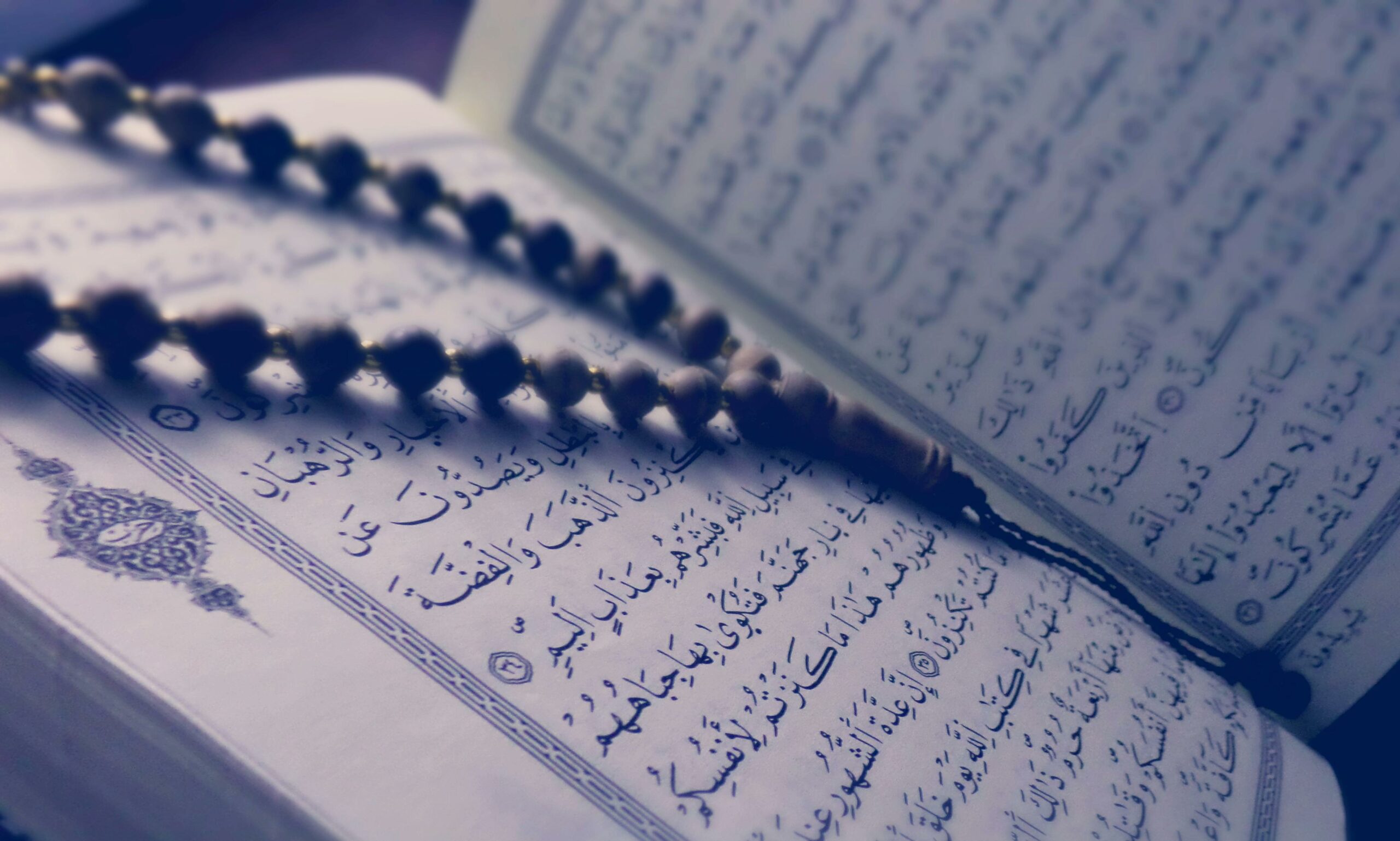 Kitab dan Buku Bacaan